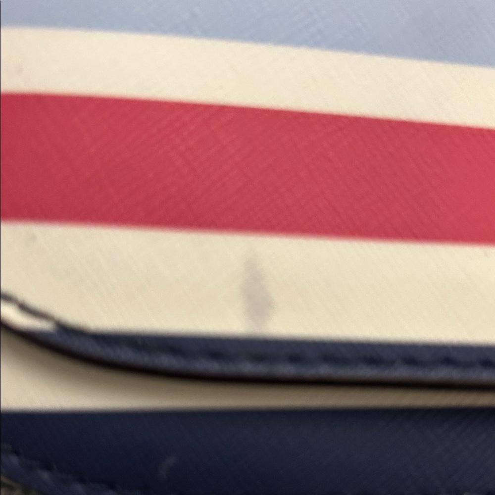 Kate Spade Blue and Pink Striped Crossbody Bag and coin purse - Picture 7 of 7